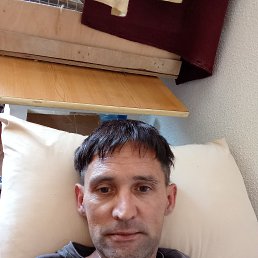 , 29, 