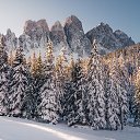 ���� �������, �����������, 56 ��� - ��������� 24 ����� 2026 � ������ ���� ����������