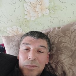  , 55, 