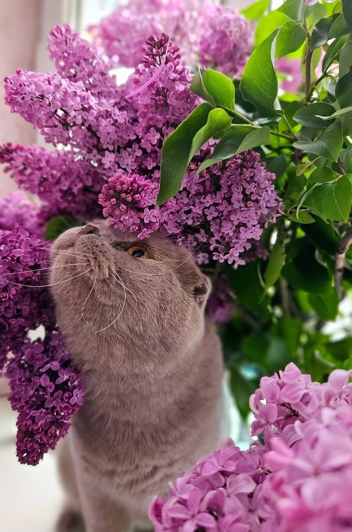 :pushpin: :    ,   ...