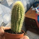 ���� Den, ����, 24 ���� - ��������� 17 ������� 2024 � ������ ���� ����������