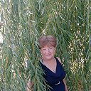 ���� ������, ���������, 65 ��� - ��������� 8 ������ 2026 � ������ ���� ����������