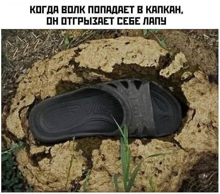   - 21  2025  22:21