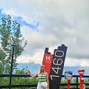���� ���������, ���������, 44 ���� - ��������� 29 ������� 2026 � ������ ���� ����������
