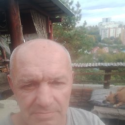 , 55 , -