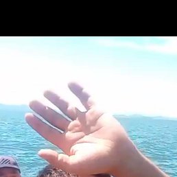 , 33, 