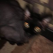 �������, 28 ���, ������