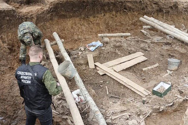 В Ленобласти, в Тосненском районе, обнаружено массовое захоронение жертв фашистских карателей. ... - 2