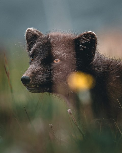  . ,    ,       ... - 6