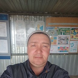 , 41, 