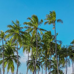 ������, �����, 58 ���