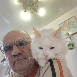 ����, ������������