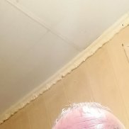 , 42 , 