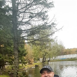 ���� �����, ����� �������, 38 ��� - ��������� 13 ������ 2024