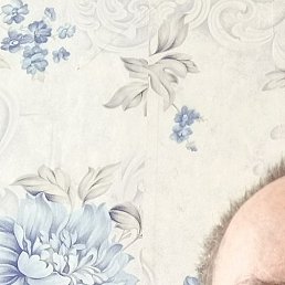 ������, ����, 61 ���