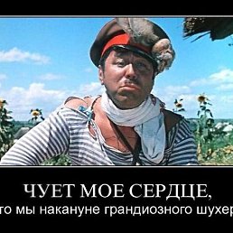 ������ ����, ����, 65 ���