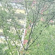 Артур, 34 года, Самара Артур, 34 года, Самара