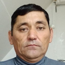 ����, �����-���������, 43 ����