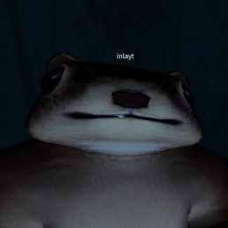 Fddsf, , 22 