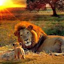 ���� Sardor, �����, 38 ��� - ��������� 2 ������ 2023 � ������ ���� ����������