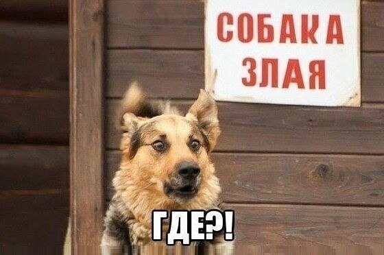 ? ,  ! - 1  2024  02:51