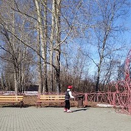 �����, ���, 43 ����