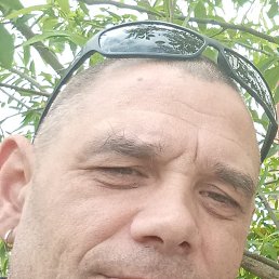 , 45, 