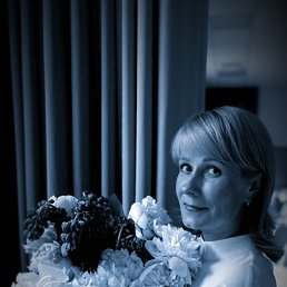 ���� ���������, ������, 44 ���� - ��������� 3 ���� 2025