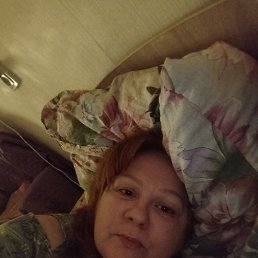 ���� ���������, �����-���������, 44 ���� - ��������� 13 ������ 2026