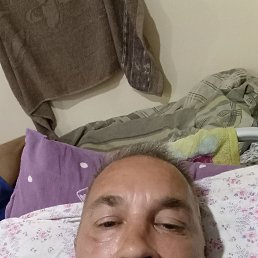 , , 44  -  26  2025