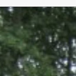 ����, ������, 50 ���