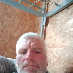 , 49 , 