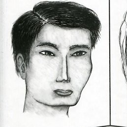 Salmon, �����������, 20 ���