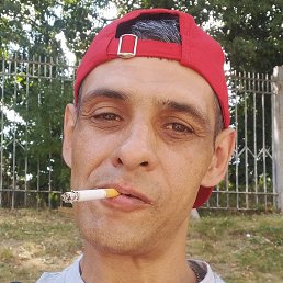 ���� ������, ������, 42 ����