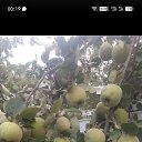 ���� ����, ������-��-����, 58 ��� - ��������� 3 ������ 2026 � ������ ���� ����������