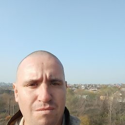 �����, 29 ���, ���������