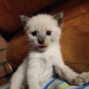 ���� �������, ������, 55 ��� - ��������� 4 ���� 2025 � ������ ������� ���