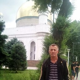  , 53, 