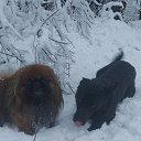 ���� �������, ������, 55 ��� - ��������� 19 ��� 2024