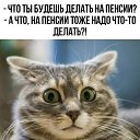 ���� ��, ��������, 43 ���� - ��������� 2 ��� 2026