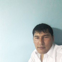 �������, ������, 41 ���