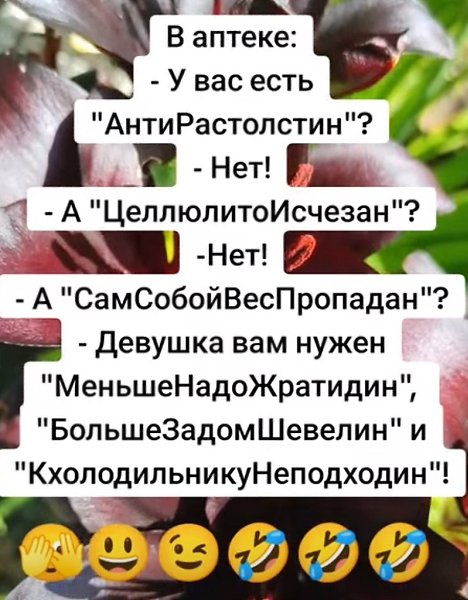  - 20  2025  22:31