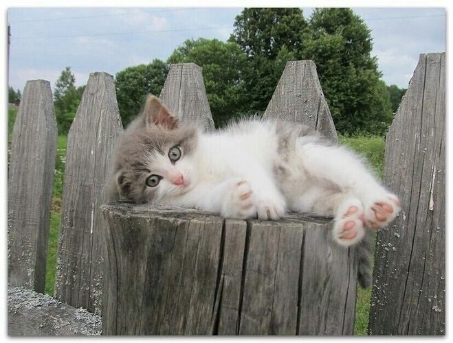 Крах семьи, который едва не случился.У Григория Коробушкина случилась ужасная трагедь от него ушла ...