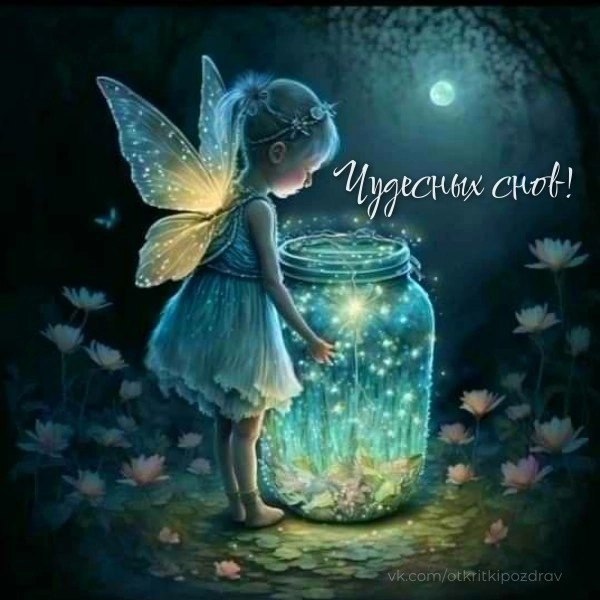   ,    . - 9  2024  21:33 - 8