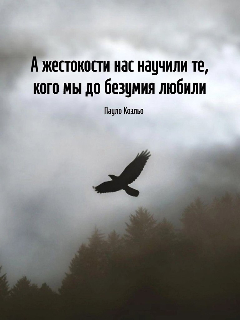   - 26  2025  13:35
