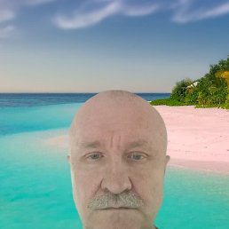 , 61, 
