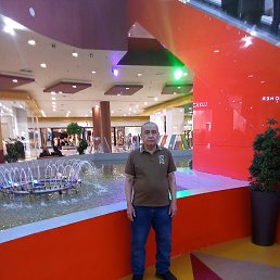 ����, ������, 66 ���