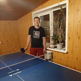 �������, ����, 37 ���