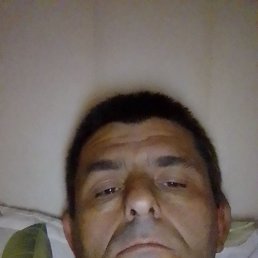 , 40, 