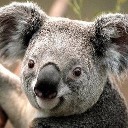 ������, ������, 58 ���